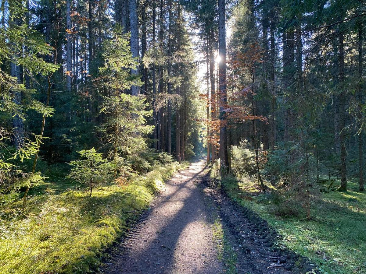 Ferienwohnung Waldblick Wilhelmsdorf Eksteriør bilde